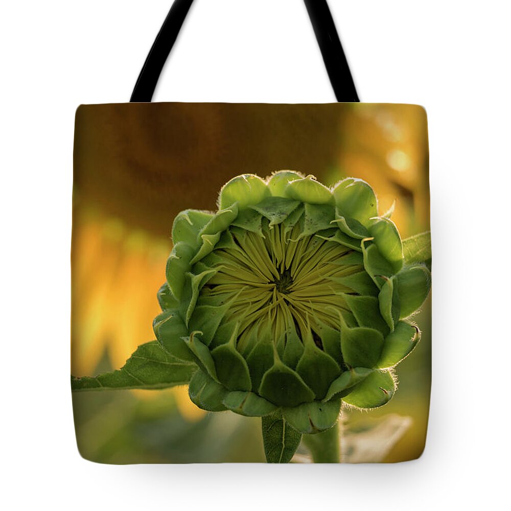 Sunflower Tote Bag featuring the photograph Mother and Child by Holly Ross