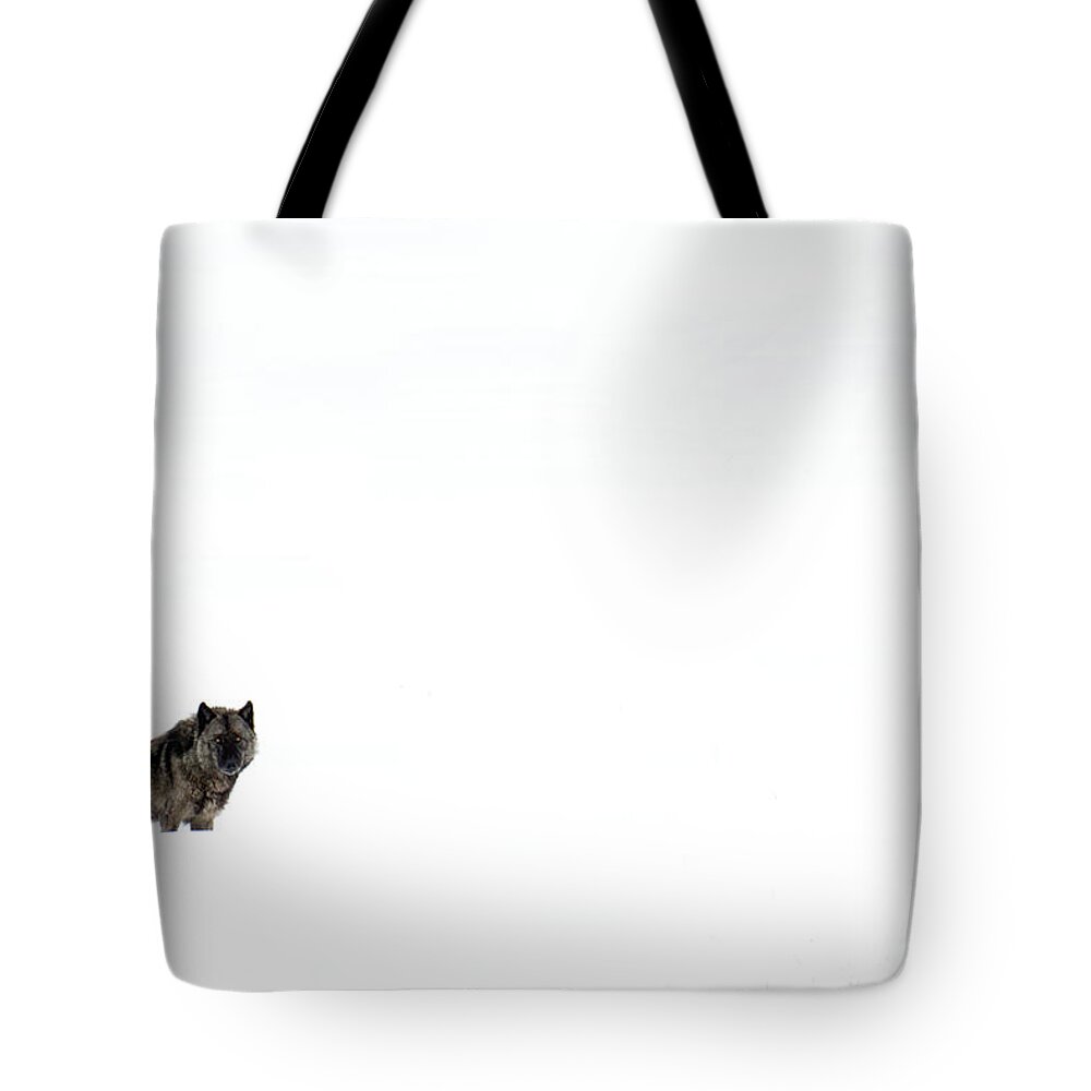 Wolf Tote Bag featuring the photograph Mottled by Deby Dixon