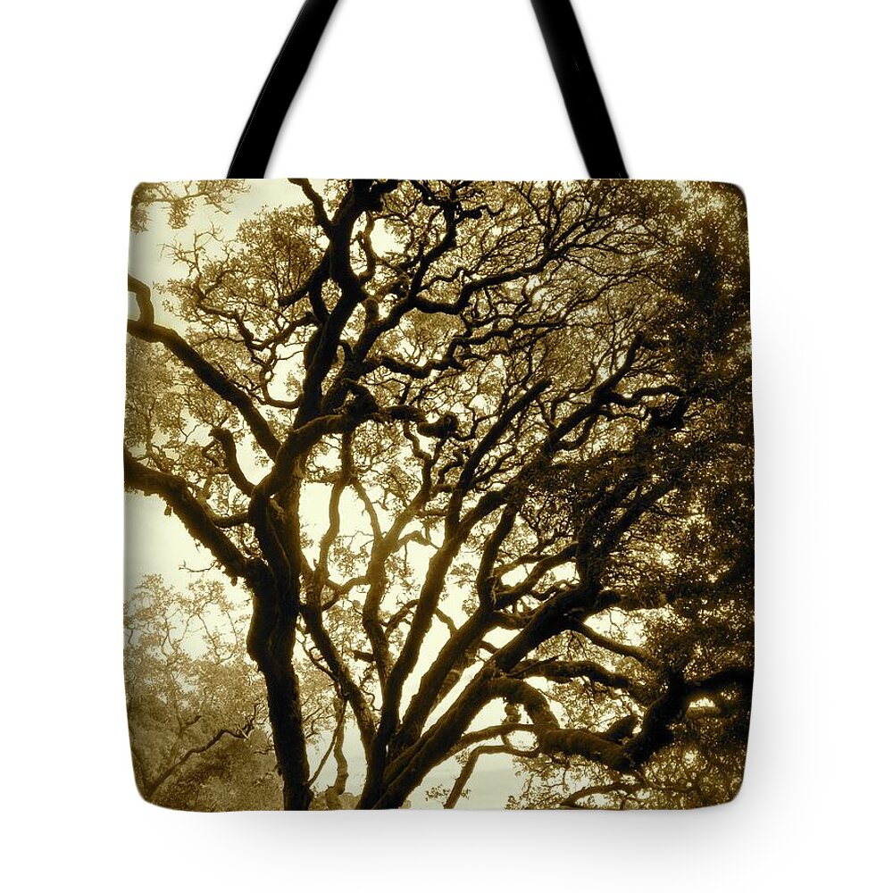  Tote Bag featuring the photograph Mount Madonna California 2012 by Leizel Grant