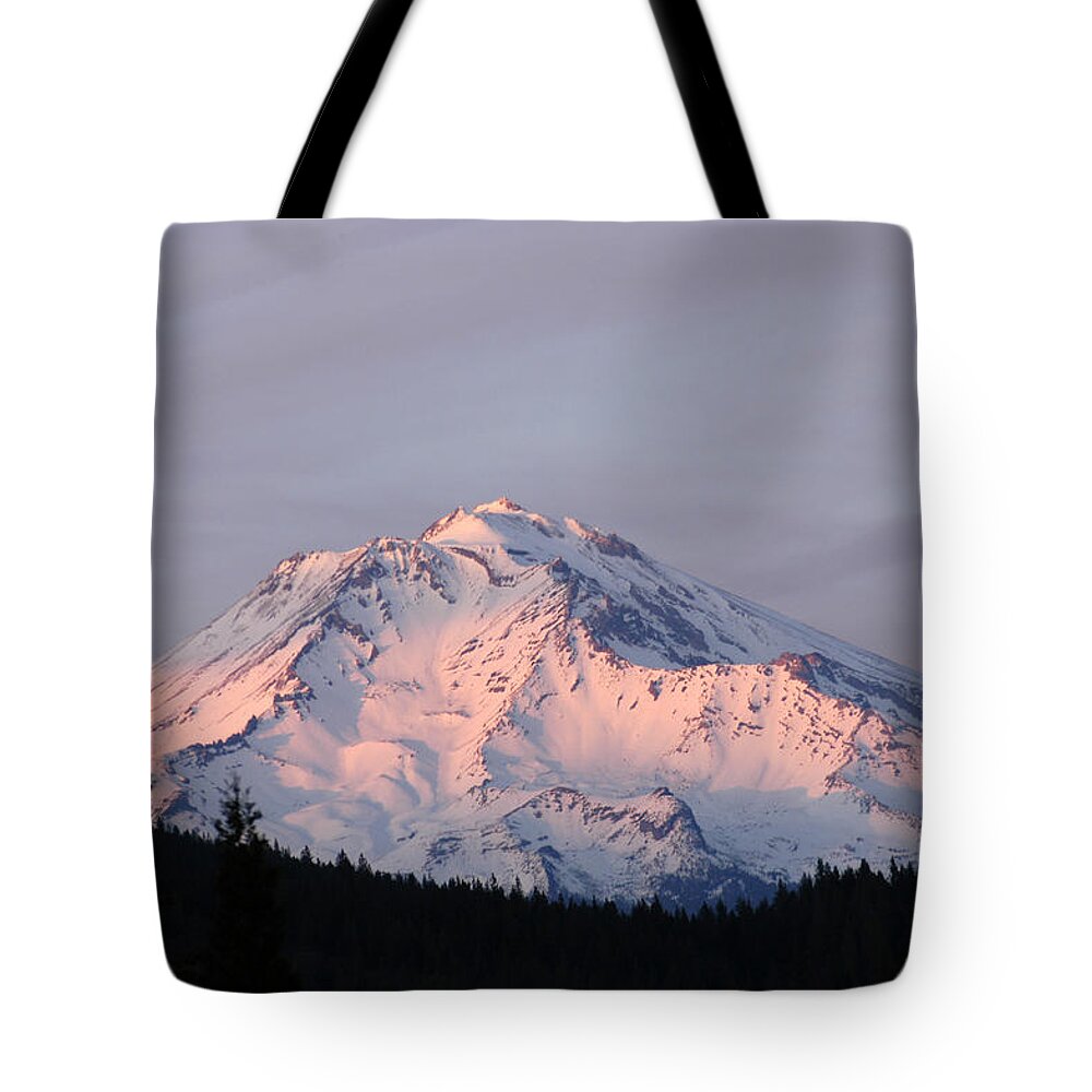 Mount Shasta Tote Bag featuring the photograph Mount Shasta - Oregon by DArcy Evans