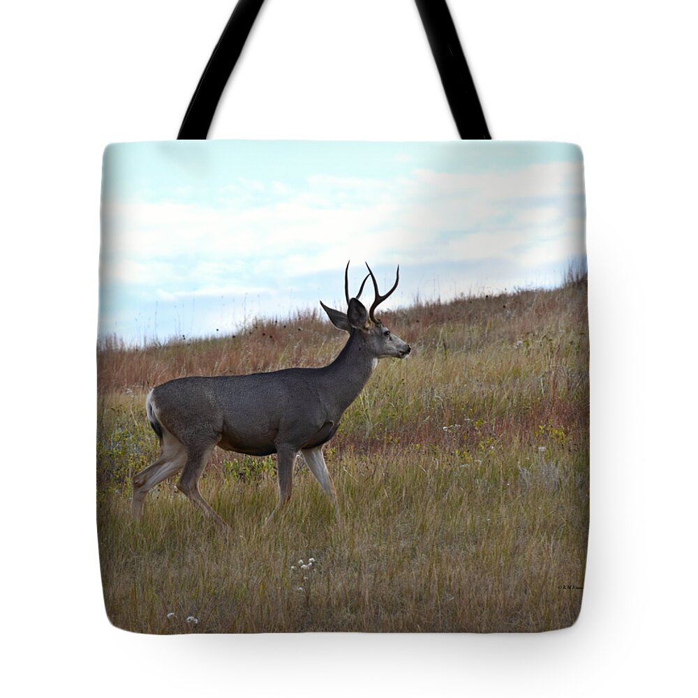 Mountain Climbing Deer Tote Bag featuring the photograph Mountain Climbing Deer by Kathy M Krause