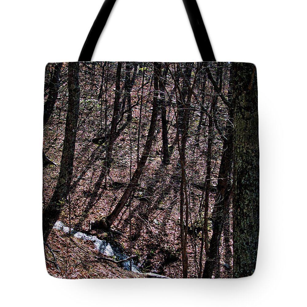 Creek Tote Bag featuring the photograph Mountain Creek by George Taylor