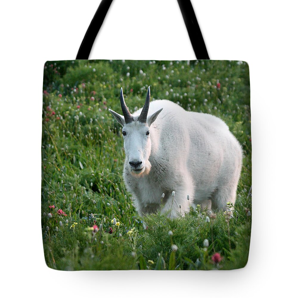 Mountain Goat Tote Bag featuring the photograph Mountain Goat and Wildflowers by Brett Pelletier