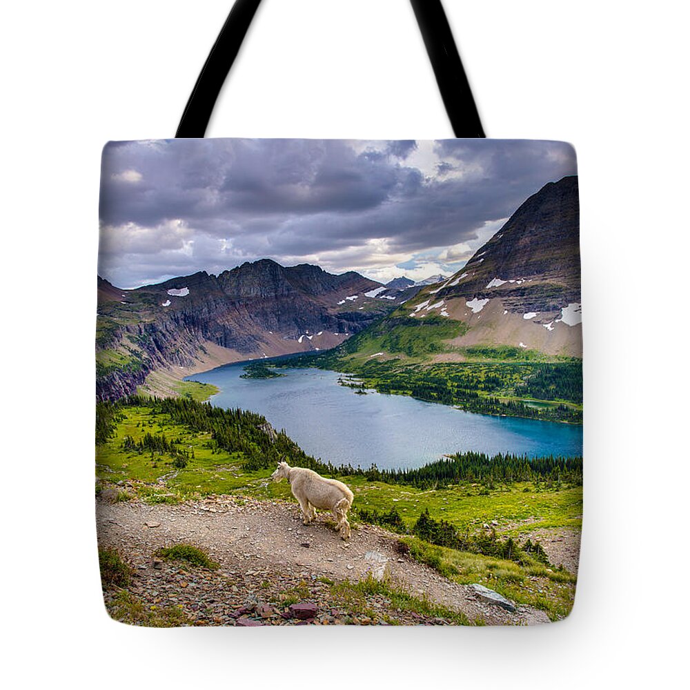 Glacier National Park Tote Bag featuring the photograph Mountain Goat Haunt by Adam Mateo Fierro