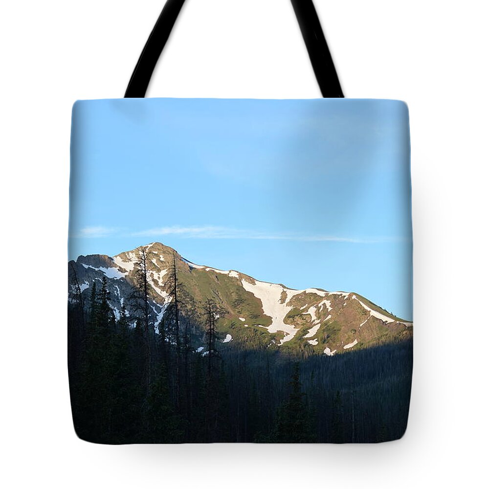 Pines Tote Bag featuring the photograph Mountain in Rocky Mountian NP CO by Margarethe Binkley