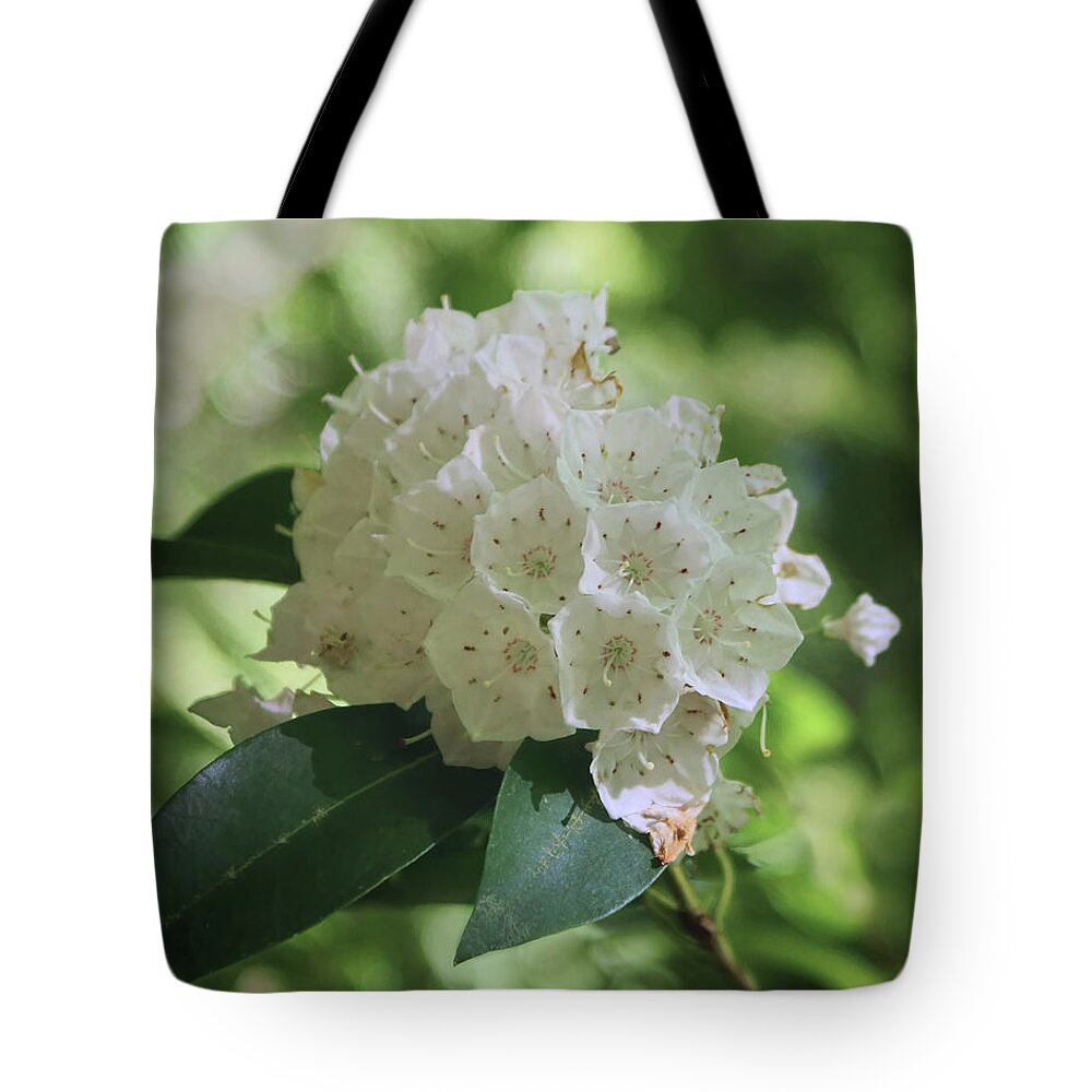 Wildflowers Tote Bag featuring the photograph Mountain Laurel - Spring by Nikolyn McDonald