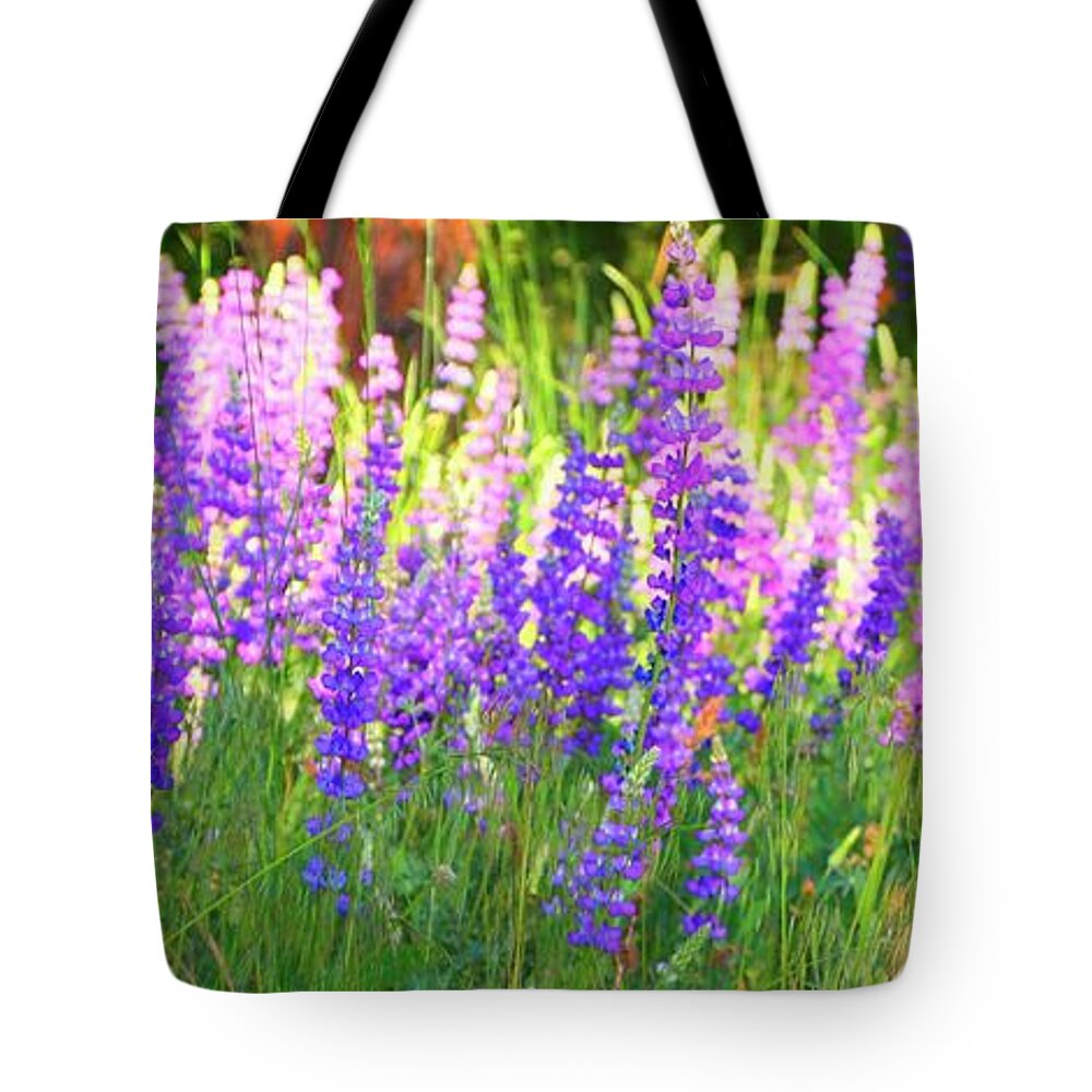 Wildflowers Tote Bag featuring the photograph Mountain Lupines Wide by Gus McCrea