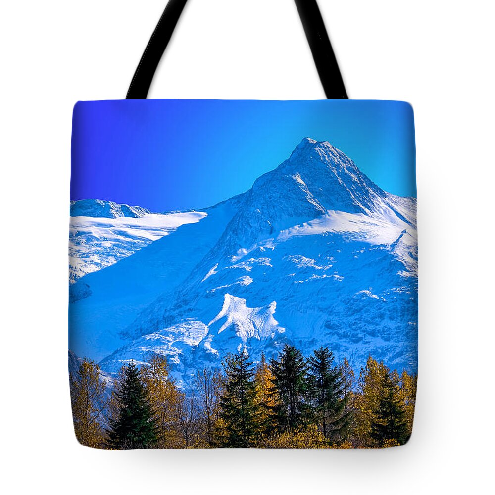  Tote Bag featuring the photograph Mountain Majesty by Brian Stevens