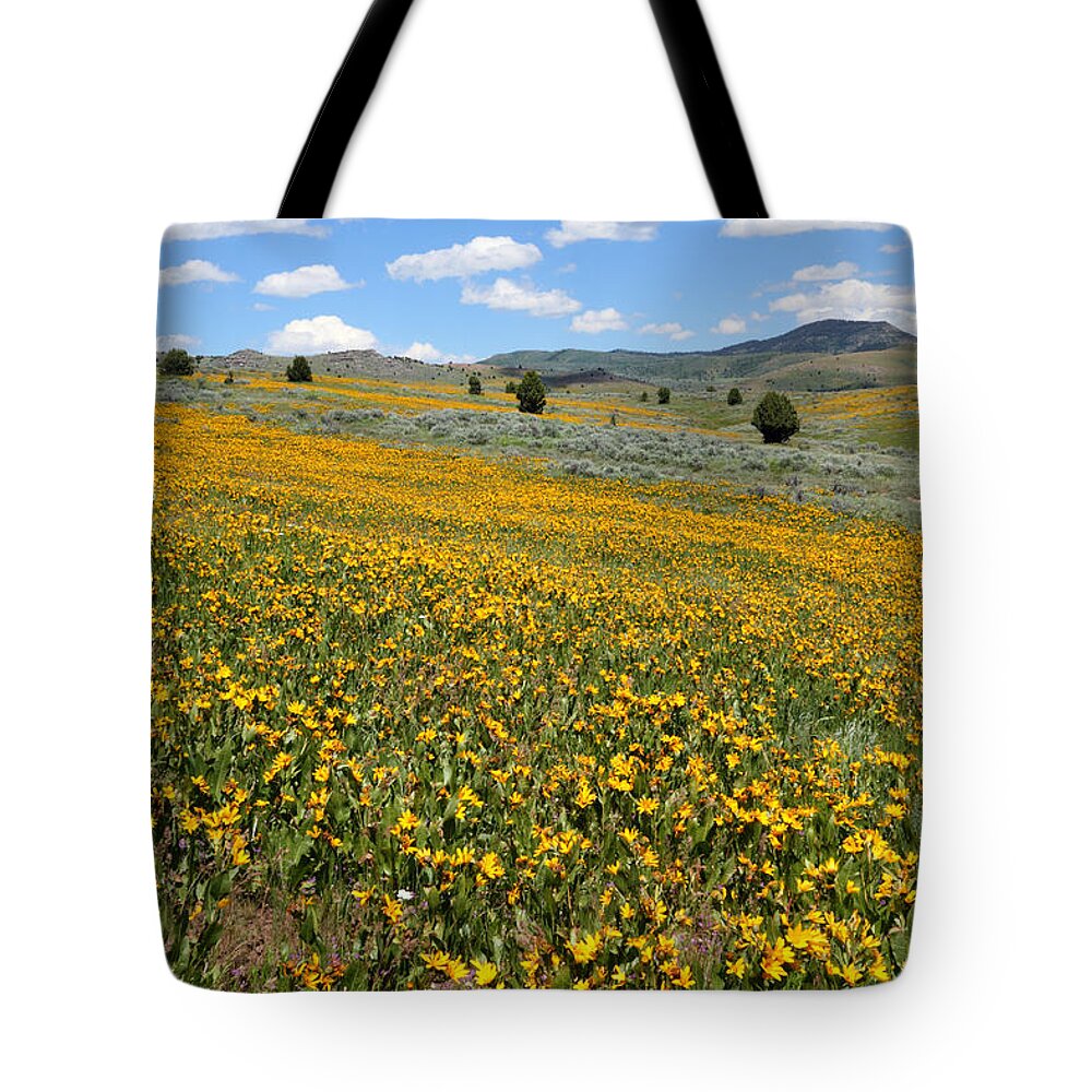 No People Tote Bag featuring the photograph Mountain Meadows of Yellow Wildflowers by Brett Pelletier