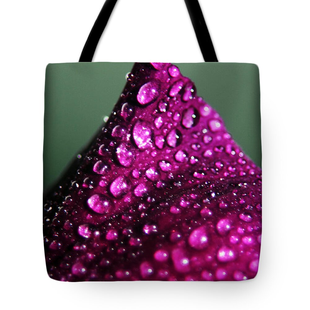 Flower Tote Bag featuring the photograph Mountain of a Flower by John Meader