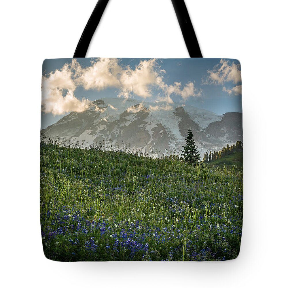 Mount Rainier Tote Bag featuring the photograph Mountain Side by Kristopher Schoenleber