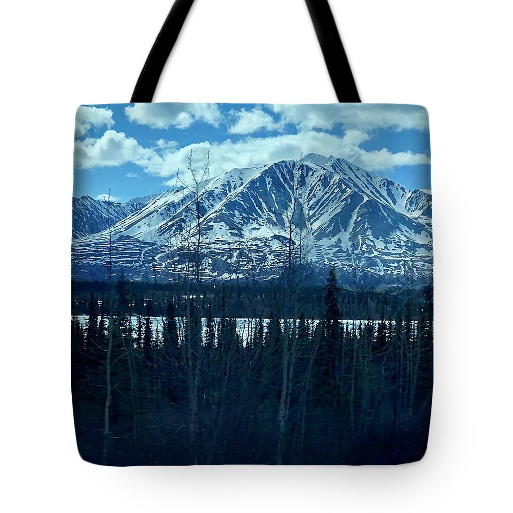 Landscape Tote Bag featuring the photograph Mountain View by John Mathews