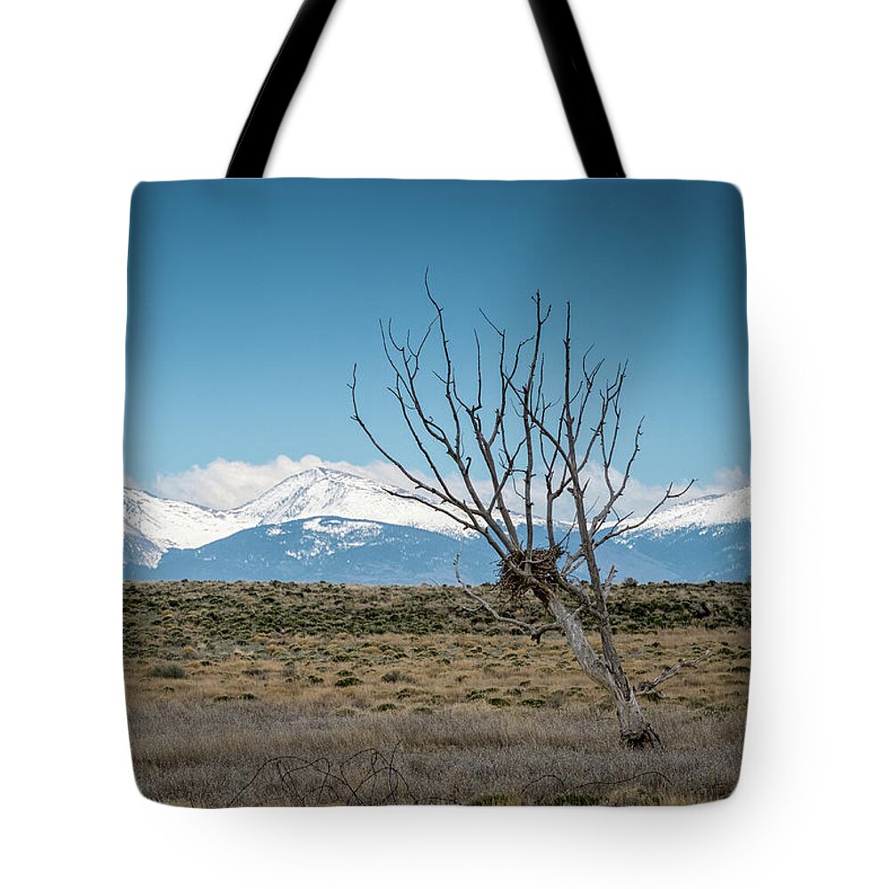 Nest Tote Bag featuring the photograph Mountain Views by Mary Lee Dereske