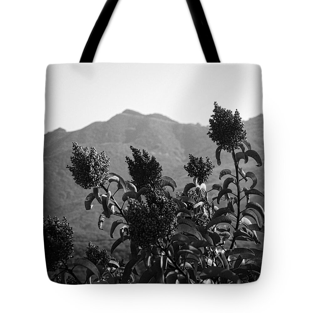 Vegetation Tote Bag featuring the photograph Mountains and Vegetation by George Taylor