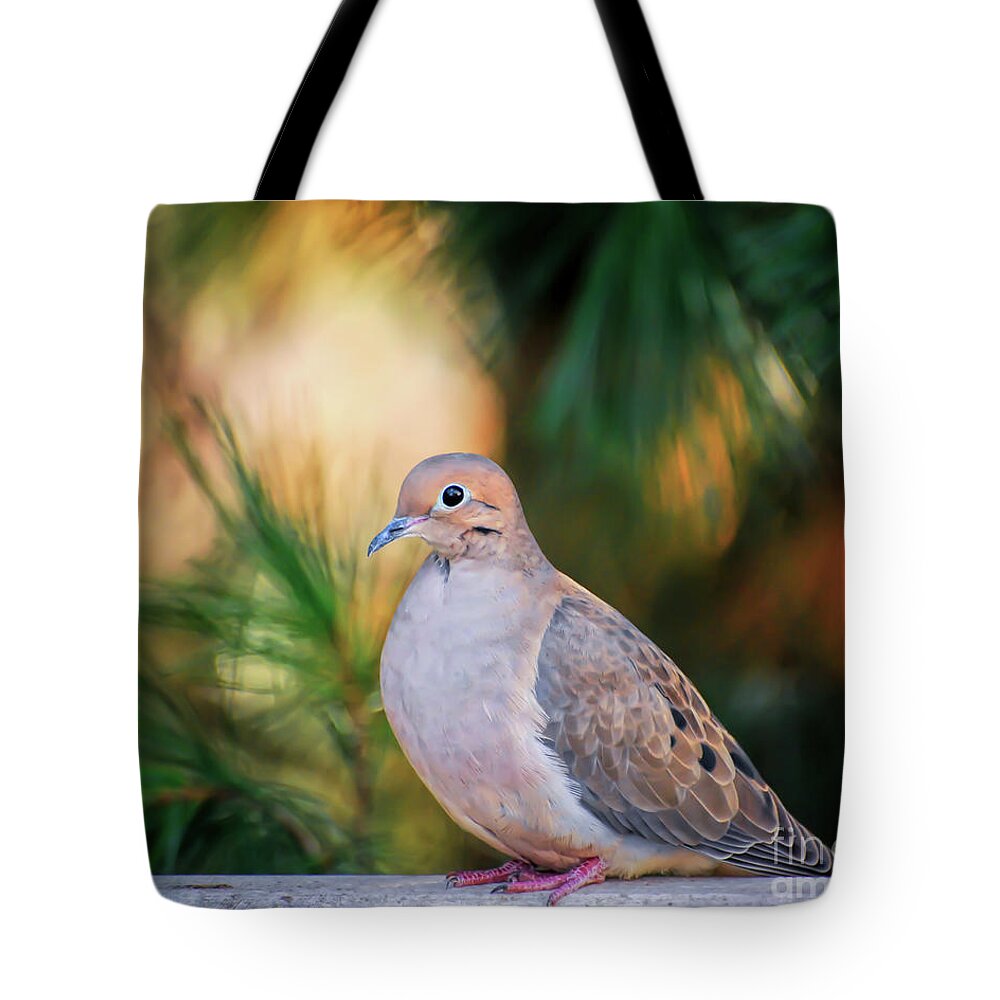 Dove Tote Bag featuring the photograph Mourning Dove Bathed in Autumn Light by Kerri Farley of New River Nature