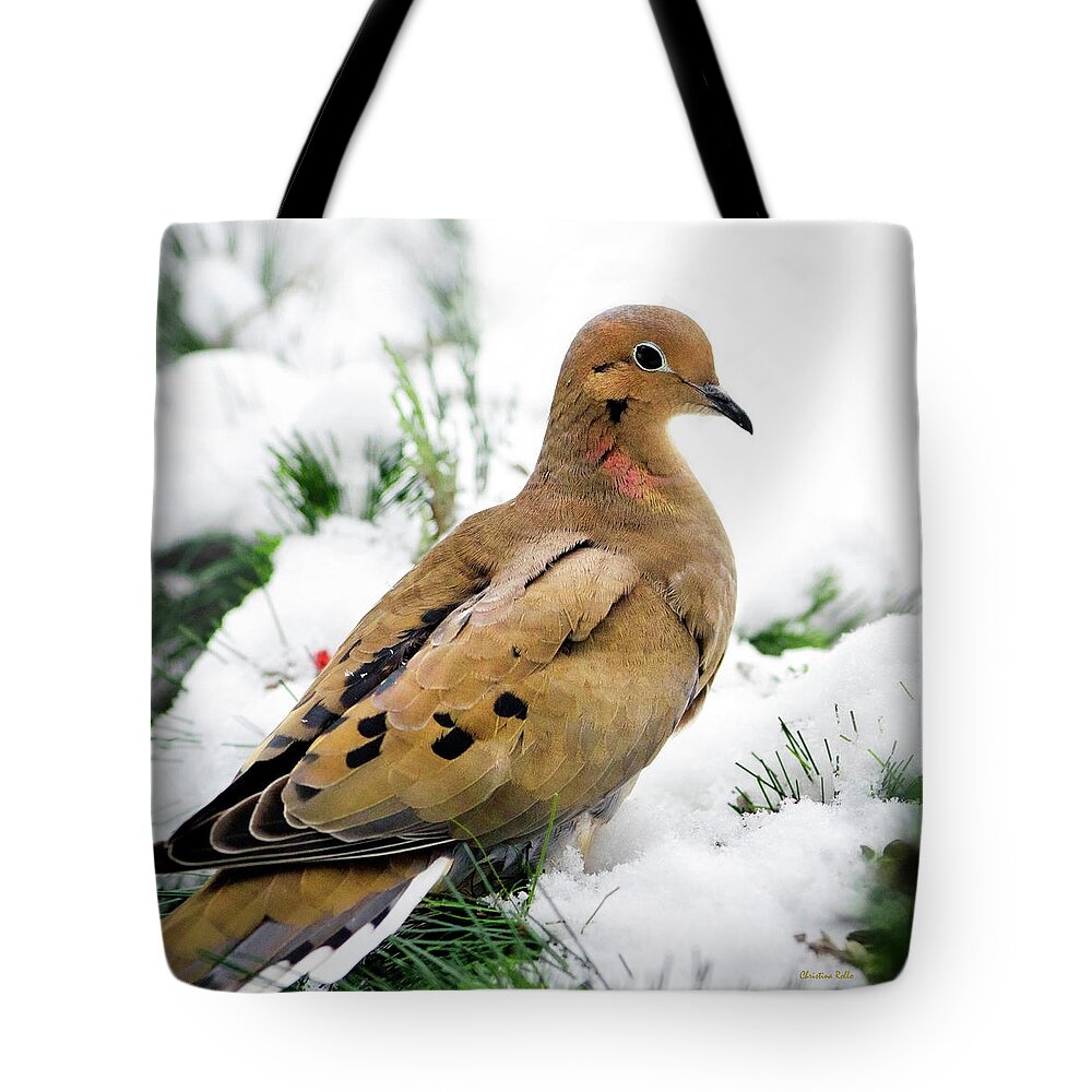 Dove Tote Bag featuring the photograph Mourning Dove Square by Christina Rollo