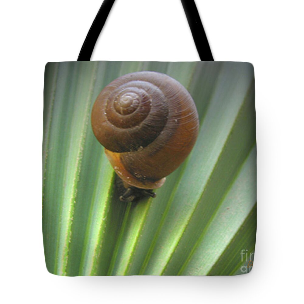 Snail Tote Bag featuring the photograph Moving Slow by Donna Brown