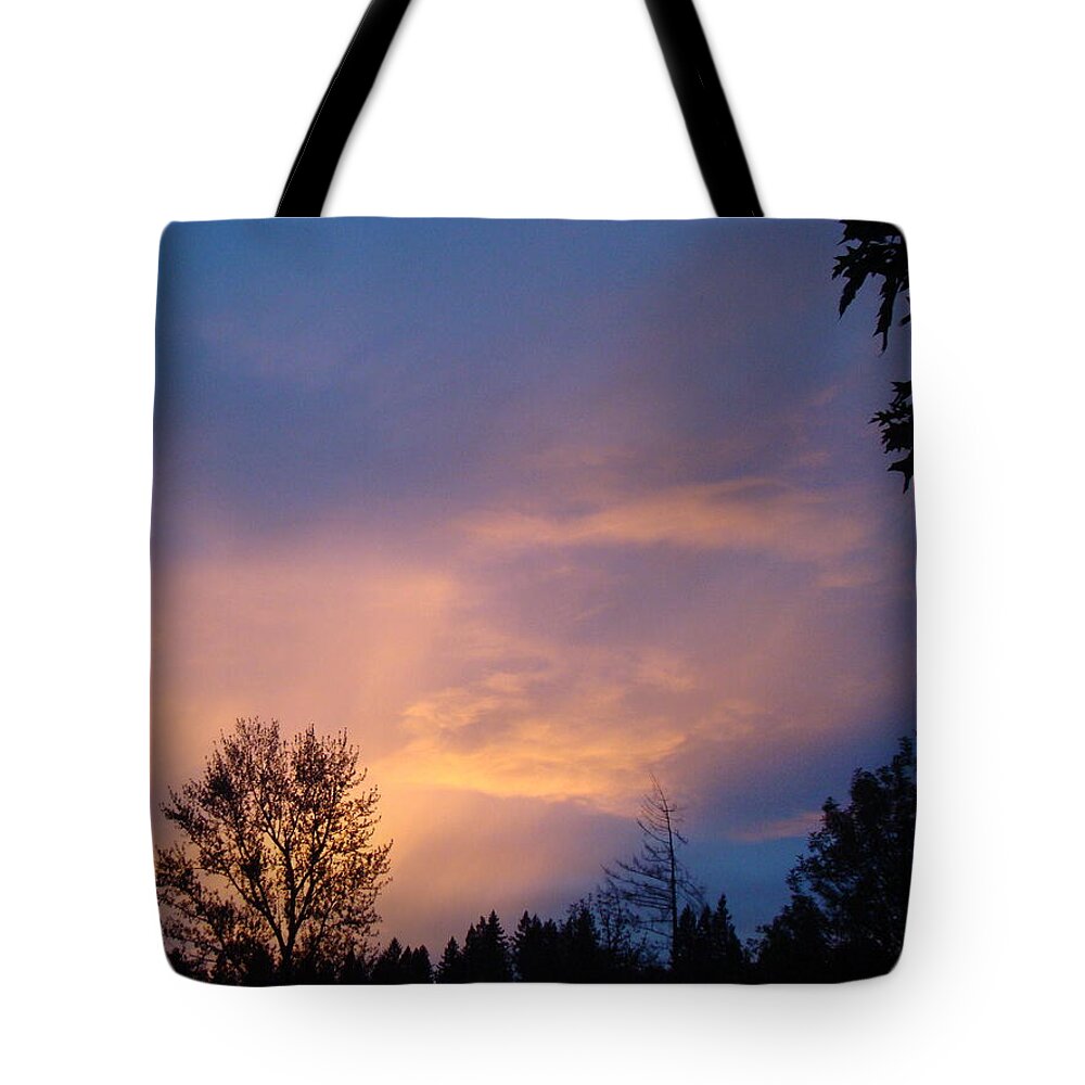 Sunset Tote Bag featuring the painting Moving Sunset by Lisa Rose Musselwhite
