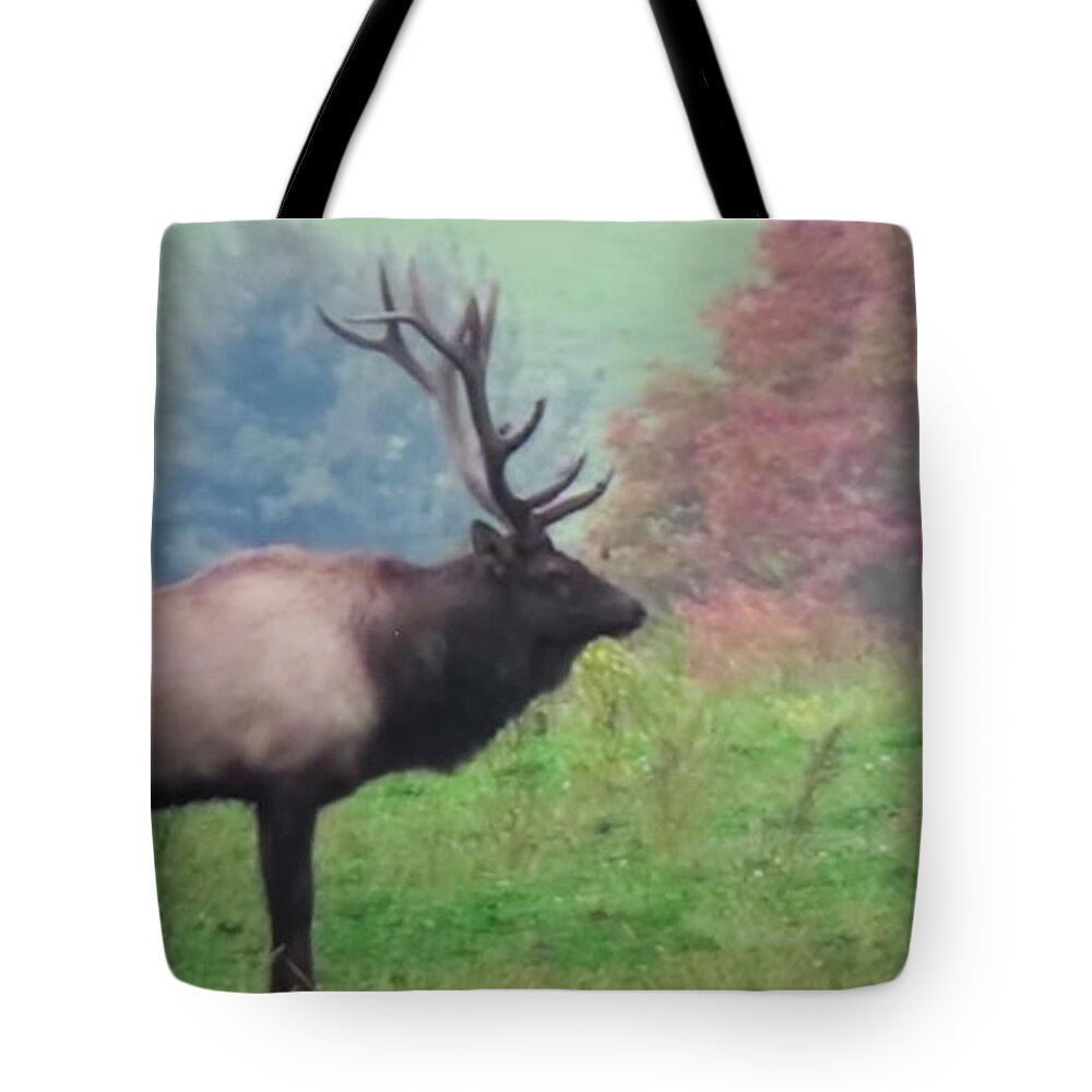 Elk Tote Bag featuring the photograph Mr Elk enjoying the Autumn by Jeanette Oberholtzer