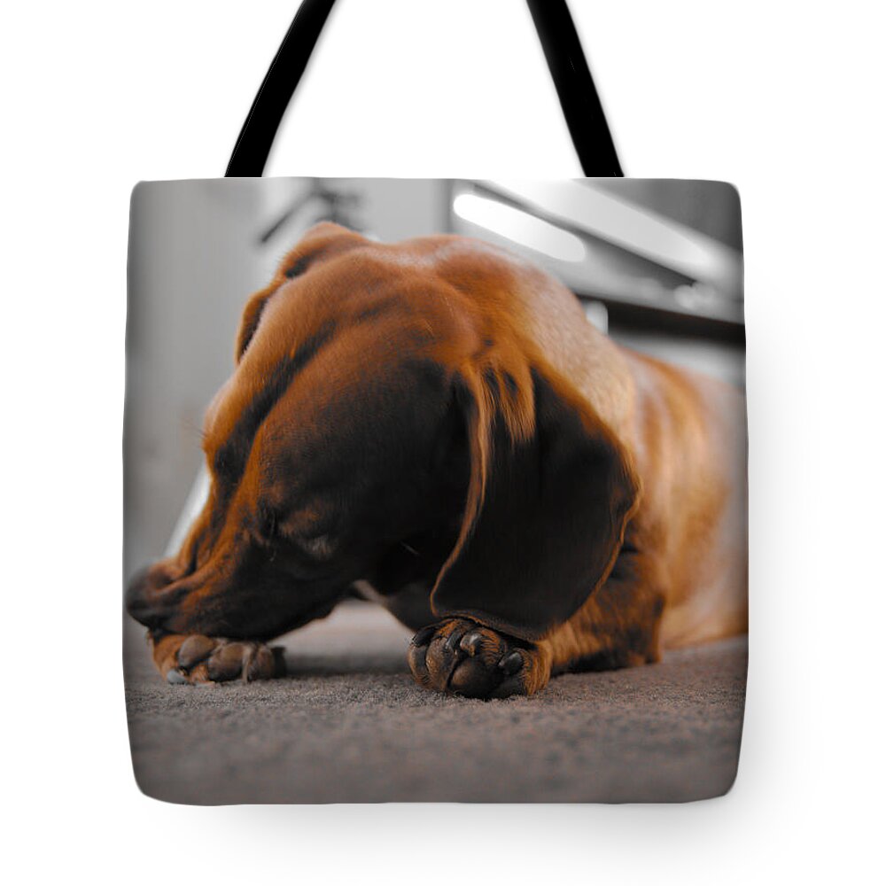 Portrait Tote Bag featuring the photograph Mr Fritz biting 2 by Michael Blaine