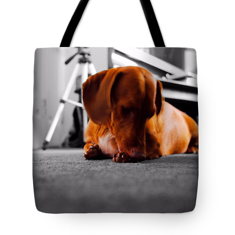 Portrait Tote Bag featuring the photograph Mr Fritz biting by Michael Blaine