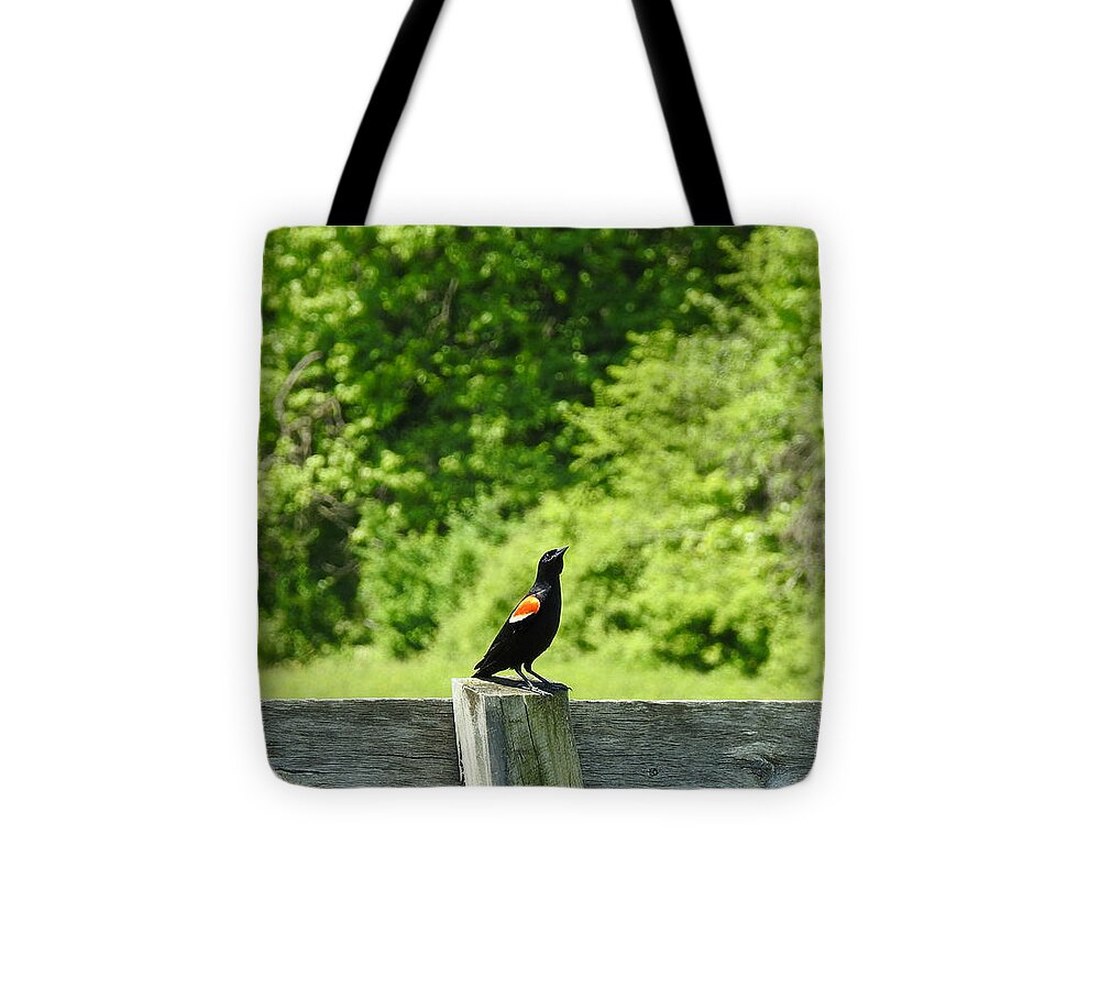 Mr. Proud Tote Bag featuring the photograph Mr. Proud by Dark Whimsy