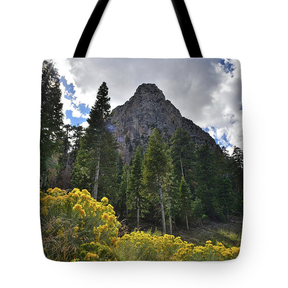 Humboldt-toiyabe National Forest Tote Bag featuring the photograph Mt. Charleston Basin by Ray Mathis
