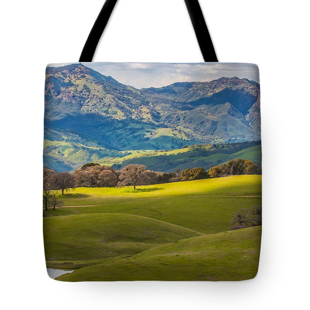 Landscape Tote Bag featuring the photograph Mt. Diablo on a Spring Afternoon by Marc Crumpler