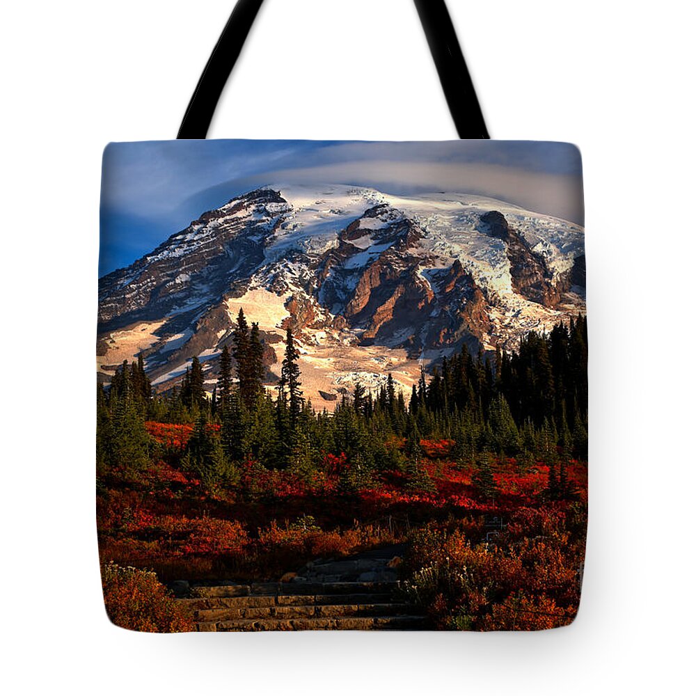 Mt Rainier National Park Tote Bag featuring the photograph Mt. Rainier Paradise Morning by Adam Jewell