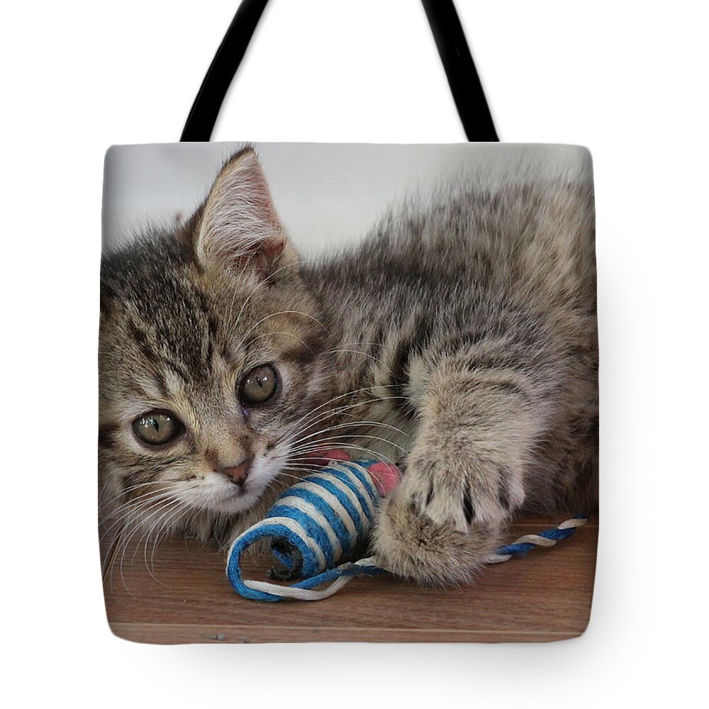 Cat Tote Bag featuring the photograph Muffin by Doris Potter