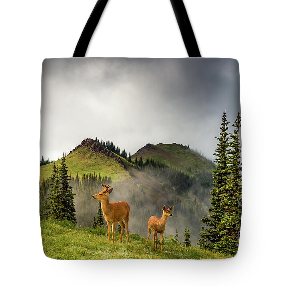 Blue Mountain Tote Bag featuring the photograph Mule Deer Olympic National Park by Michael Wheatley
