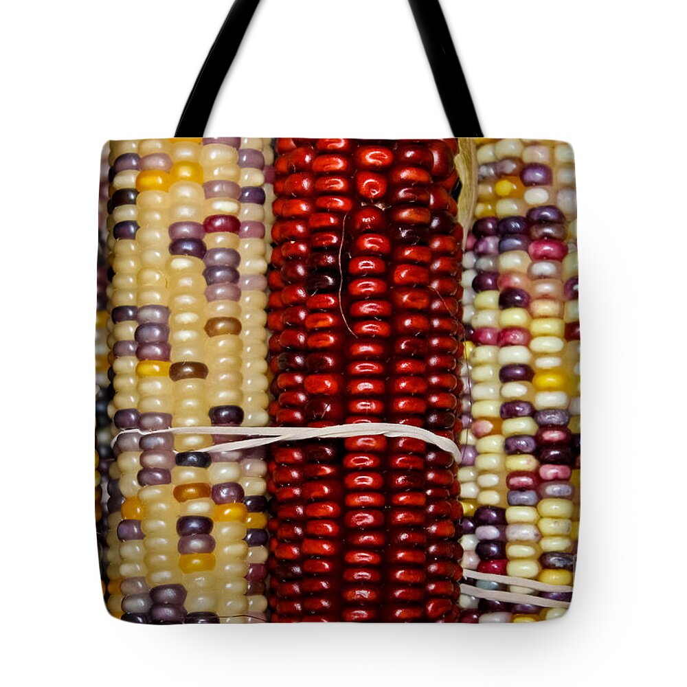 Autumn Tote Bag featuring the photograph Multi-Colored by Colleen Kammerer
