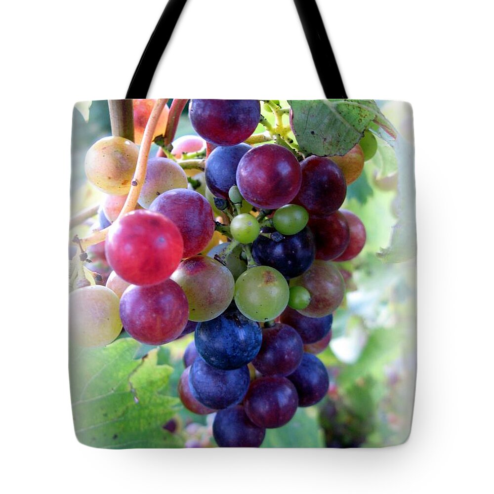 Grapes Tote Bag featuring the photograph Multicolor Grapes by Carol Sweetwood