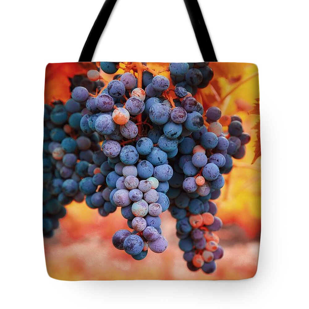 Multicolored Grapes Tote Bag featuring the photograph Multicolored grapes by Lynn Hopwood