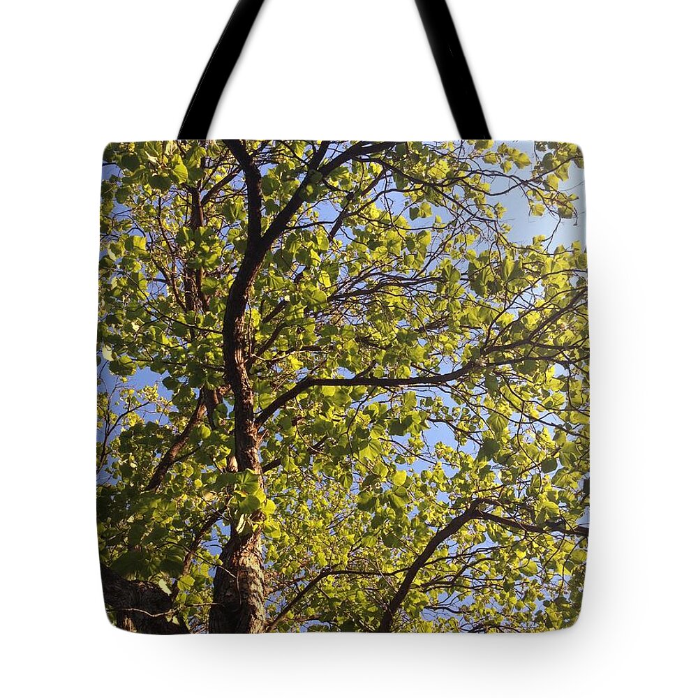 Multiplicity Tote Bag featuring the photograph Multiplicity by Nora Boghossian