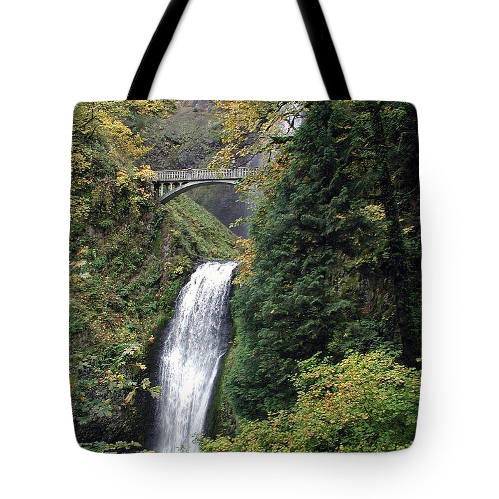 Multnomah Tote Bag featuring the photograph Multnomah Falls 3 by DArcy Evans
