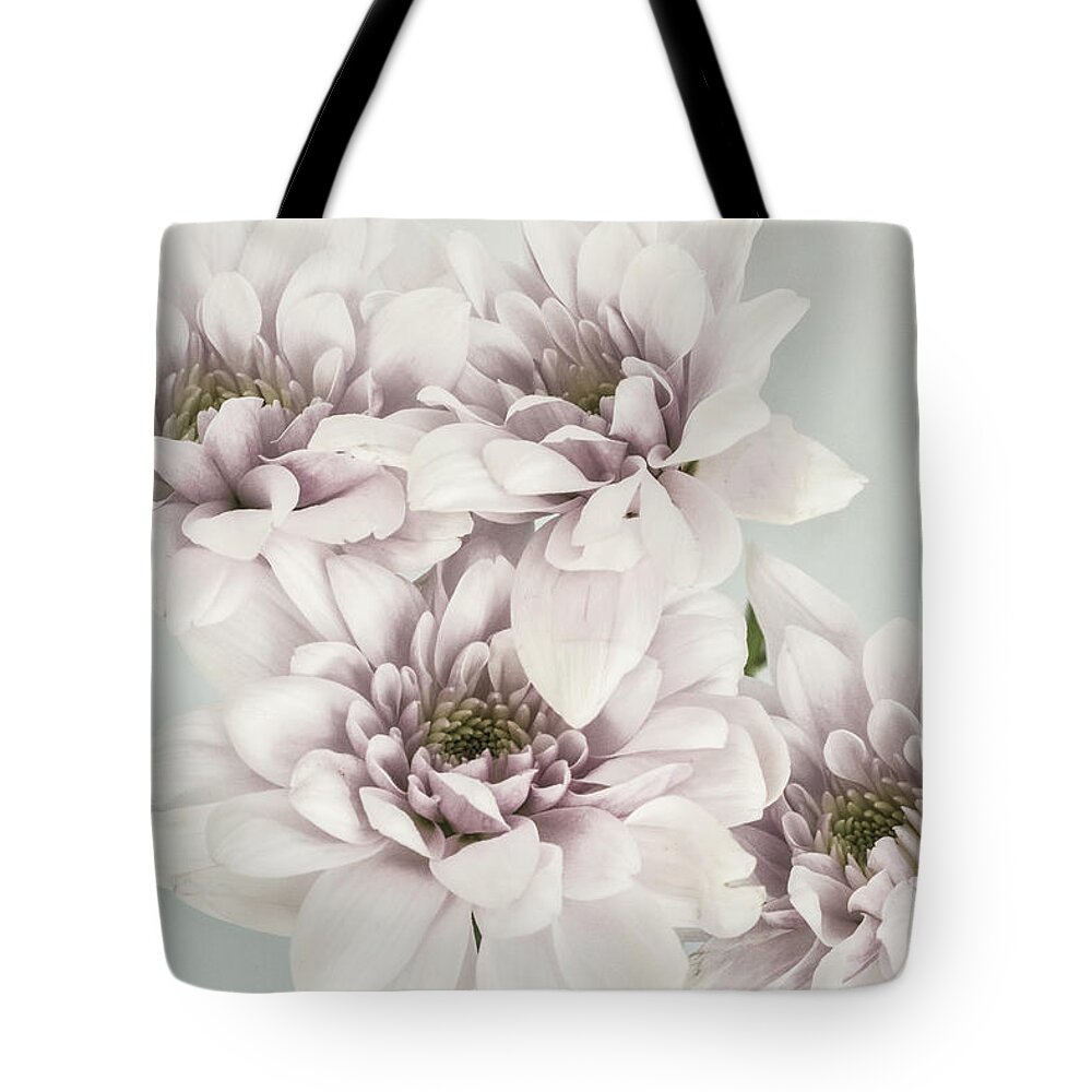 Mums Tote Bag featuring the photograph Mums in High Key by John Roach