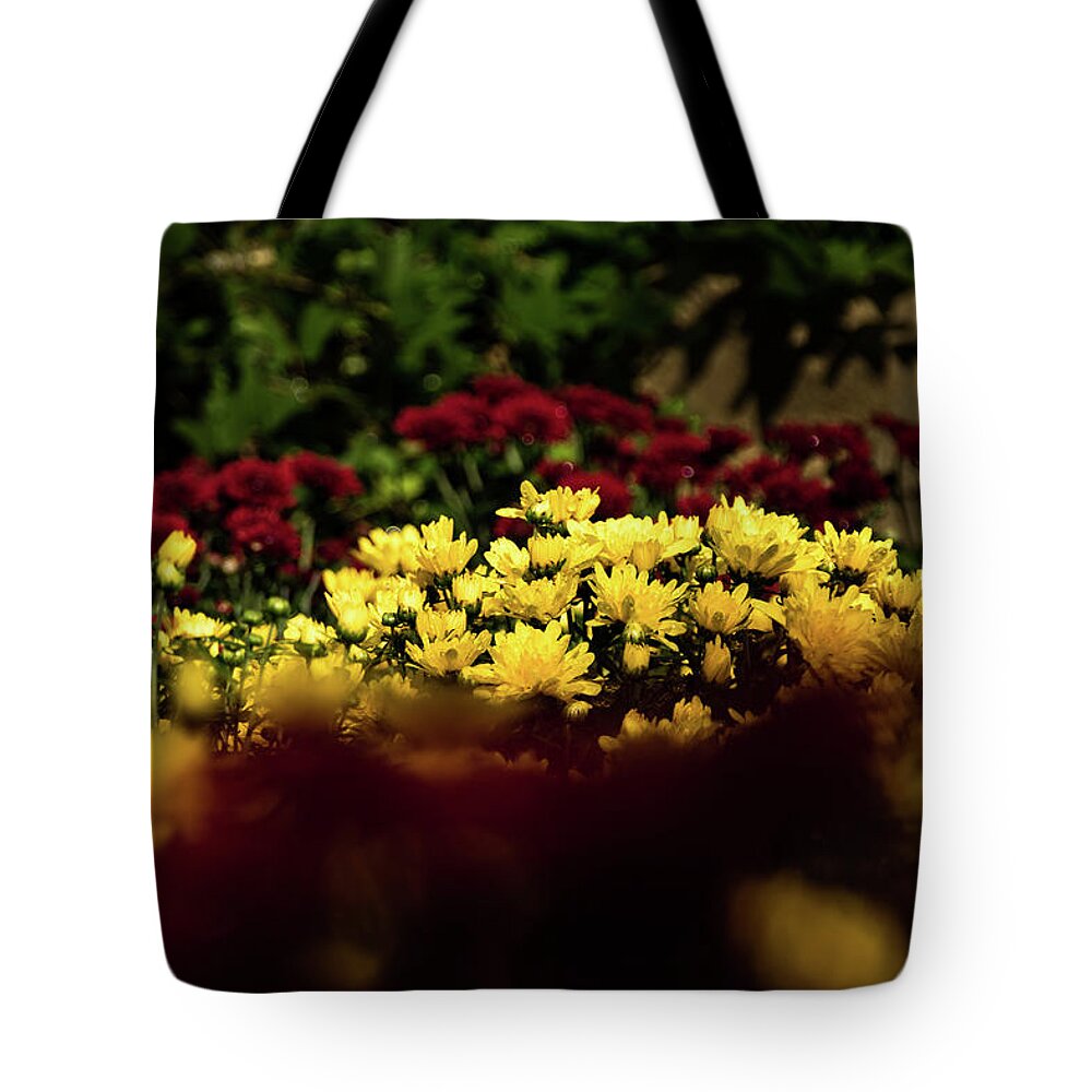 Jay Stockhaus Tote Bag featuring the photograph Mums by Jay Stockhaus