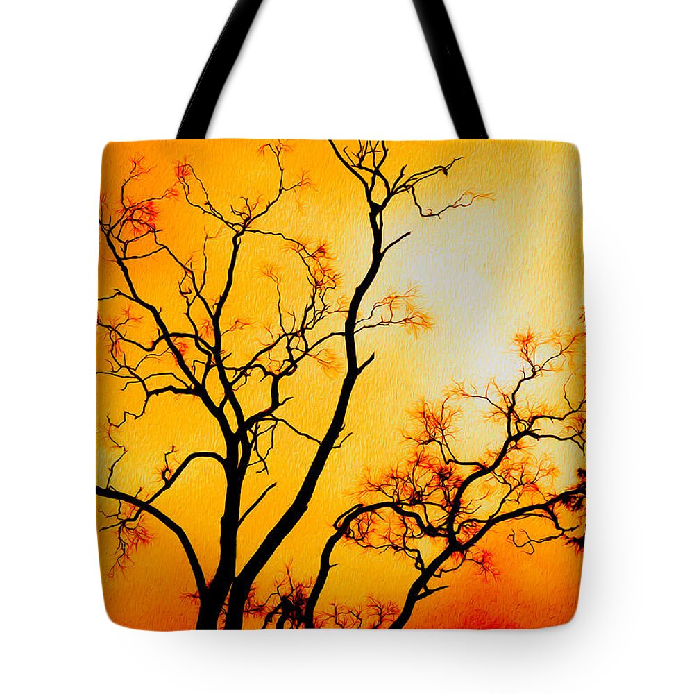 Silhouette Tote Bag featuring the photograph Mundaring Weir Tree I by Cassandra Buckley