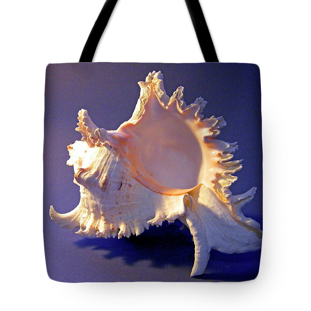 Frank Wilson Tote Bag featuring the photograph Murex ramosus Seashell by Frank Wilson