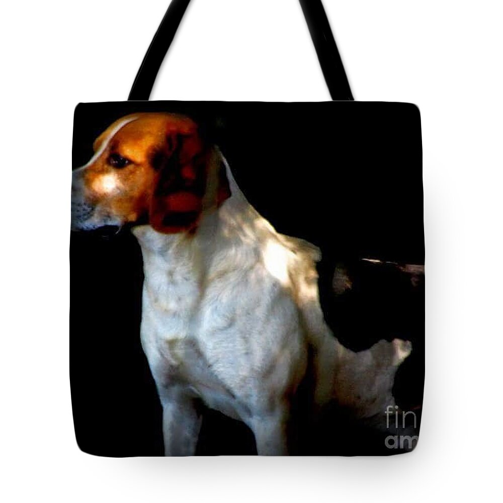 Hound Tote Bag featuring the photograph Murphy by Rabiah Seminole