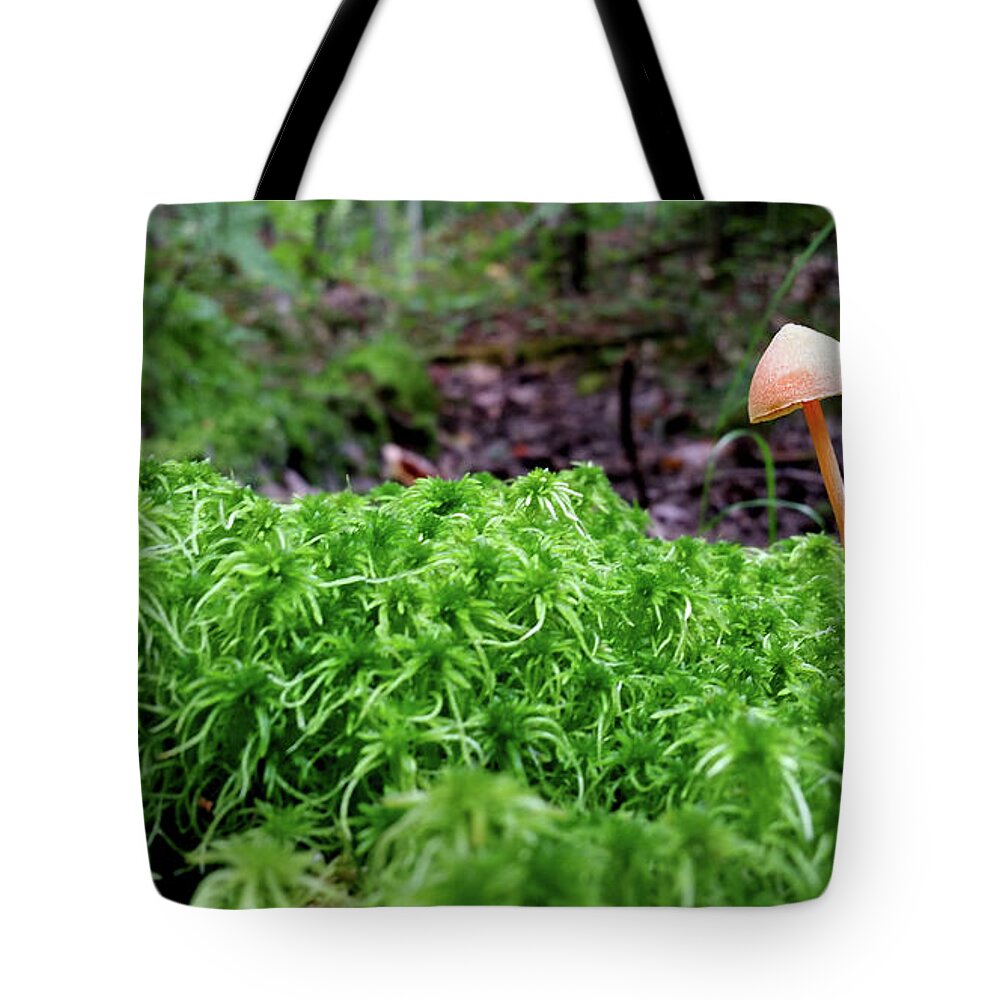 Moss Tote Bag featuring the photograph Mushroom and Moss by Brook Burling
