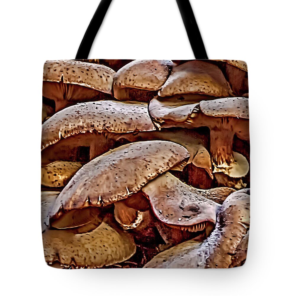 Nature Tote Bag featuring the photograph Mushroom Colony by Bill Gallagher
