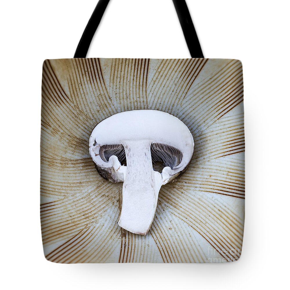 Mushroom Tote Bag featuring the photograph Mushroom in Suribachi by Shawn Jeffries