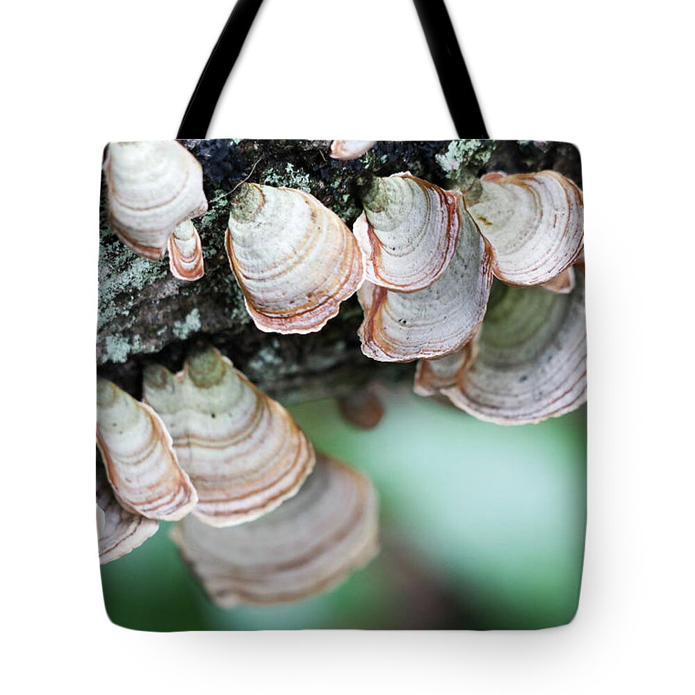 Tree Tote Bag featuring the photograph Mushroom Madness by Mary Anne Delgado