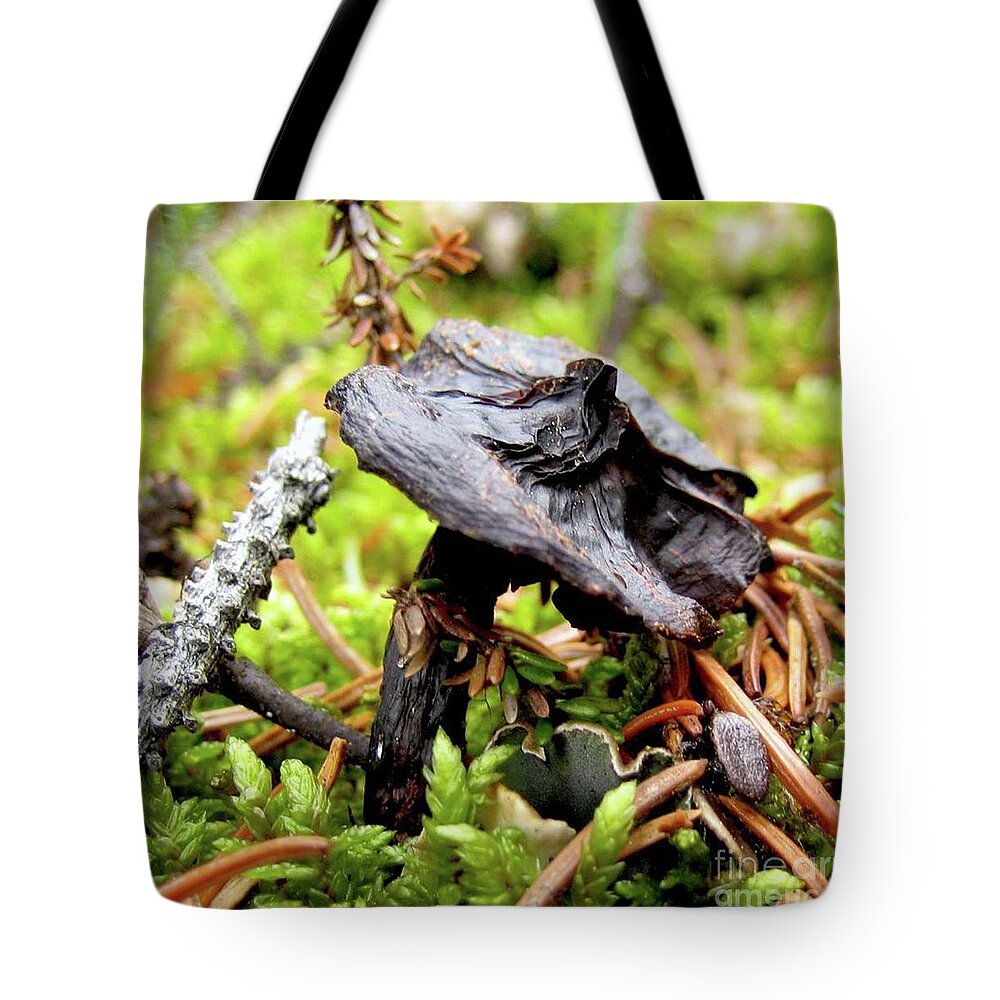 Mushroom Tote Bag featuring the photograph Mushroom by 'REA' Gallery