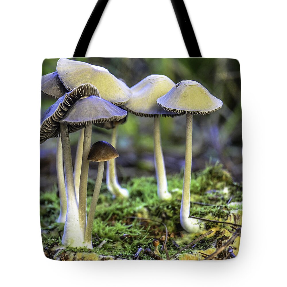 Nature Tote Bag featuring the photograph Family of Mushrooms by WAZgriffin Digital