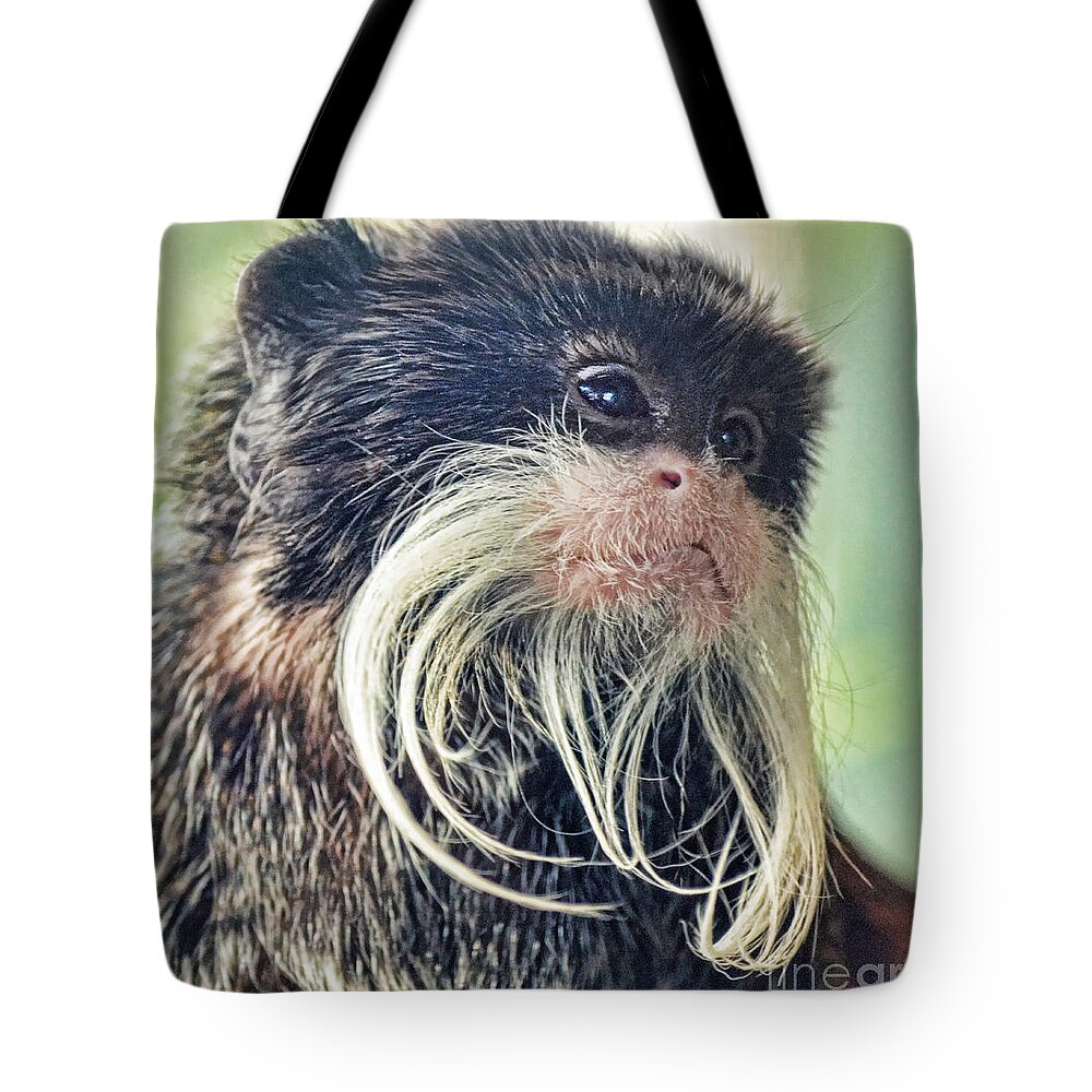 Mustached Monkey Tote Bag featuring the photograph Mustache Monkey Watching His Friends at Play by Jim Fitzpatrick
