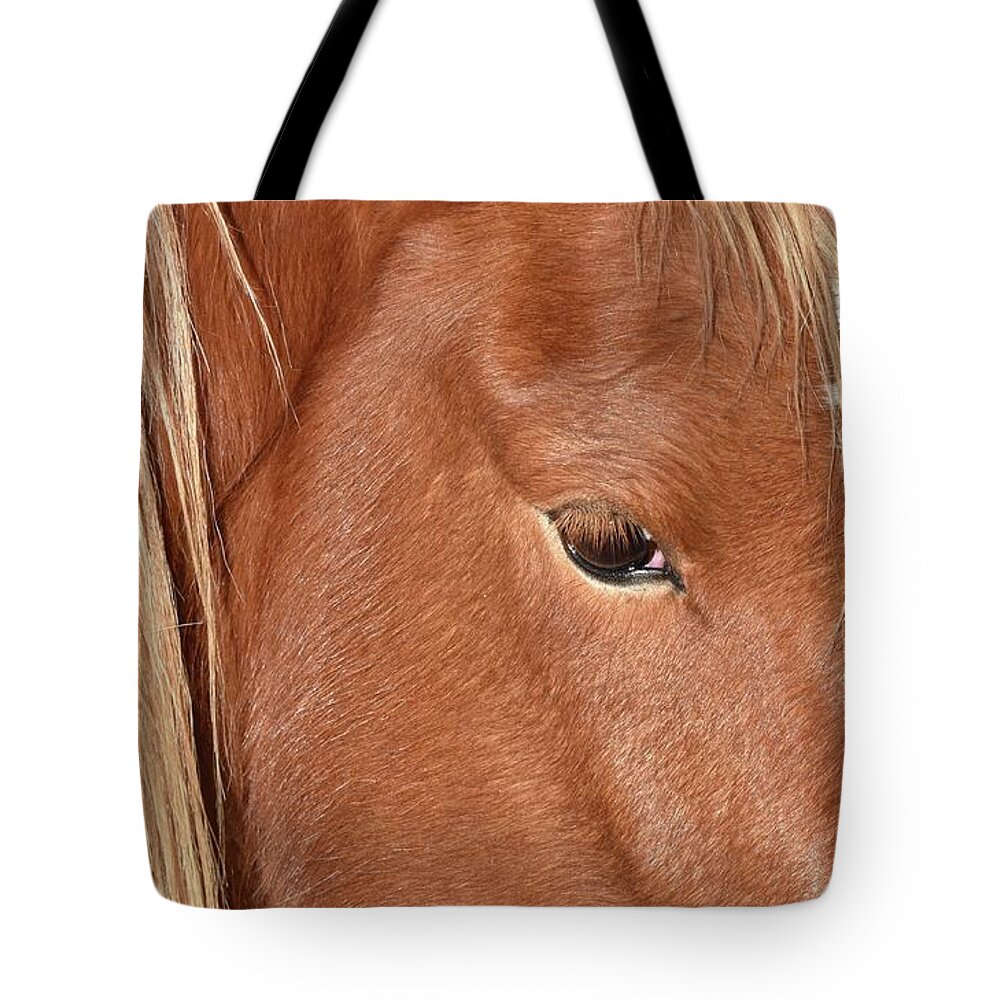 Virginia Range Mustangs Tote Bag featuring the photograph Mustang Macro by Maria Jansson