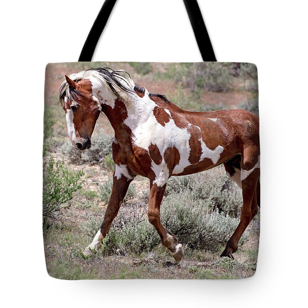 Pinto Tote Bag featuring the photograph Mustang Power by Mindy Musick King